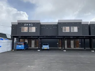 ステラ3の画像