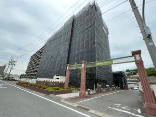 スペクトル尾張瀬戸の画像