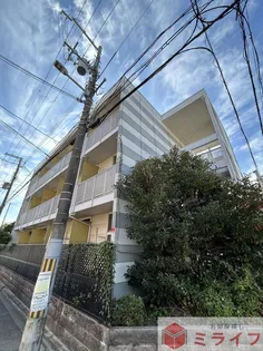 レオパレス平野南の画像
