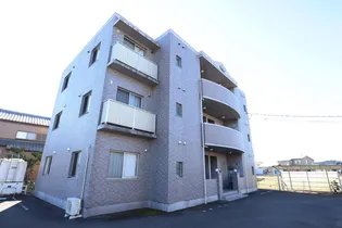 ベルツリーの画像