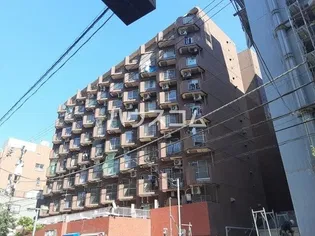 セザール伊勢佐木の画像
