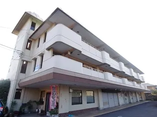 岐阜県羽島郡笠松町西町【マンション】の外観