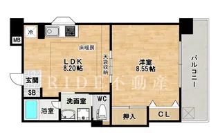 ハイツ・ウィーン【7階】の間取り