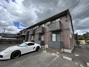 ジューンベリーの画像