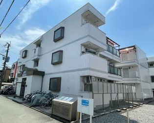 メイン渡鹿の画像