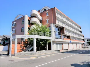 京都府京都市北区北野西白梅町【マンション】の外観