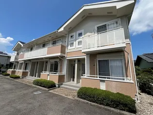 プラシードの画像