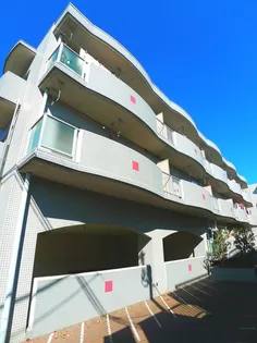 エトワールテラの画像