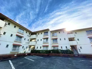 十禅寺ハイツ【2階】の外観