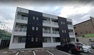 エトピリカの画像