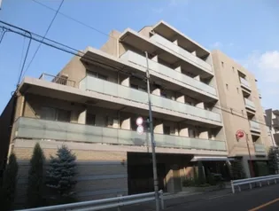 魔法の森の画像