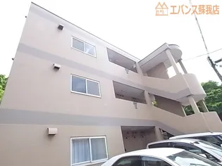 ニュー今井堂マンション【1階】の外観