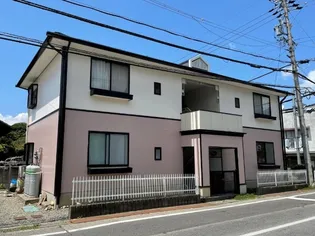 カモミールの画像