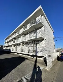 メマリスイーチの画像