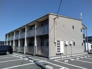 オリーブの画像