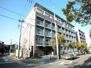 シプレスの画像