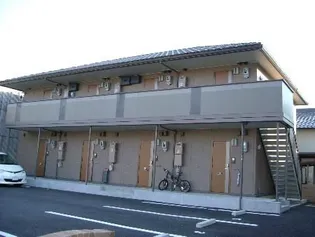 ロータスの画像