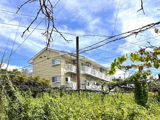 スカイトップの画像