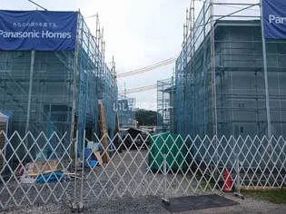 マーベルBの画像