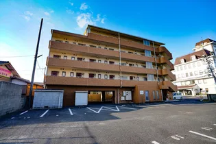 シダー西大寺【4階】の外観