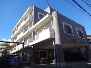 ニューパピヨンの画像