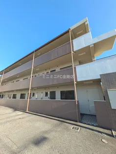 アミール西野の画像