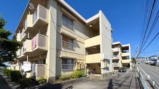 ニューハイツ春の木 No.2【2階】の外観