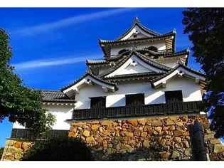 カーサ プラシード【2階】の周辺