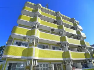 イエローエンバシーの画像