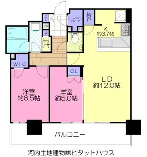 宇都宮PEAKS【6階】の間取り