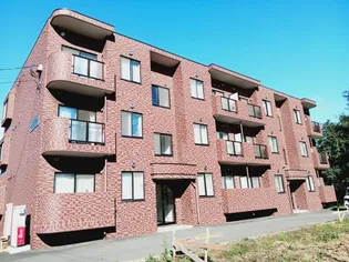 リヴィエールY SⅡの画像