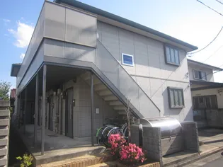 セフィラ花水木の画像