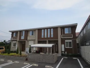 フィデールの画像