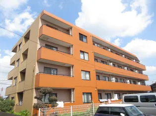 エクセル市川の画像