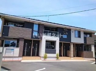 コリネッタの画像