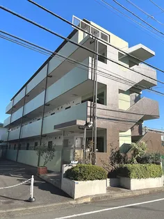 グリーンオークの画像