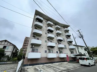 サンメロディの画像