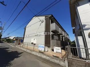 SOLANAの画像
