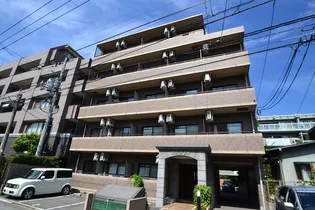 ロゼッタ石本の画像