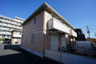 ルナリアBの画像