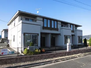 プラシード Aの画像