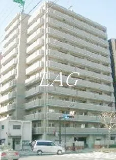 オリーブ スクエアの画像