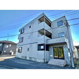 WERDEN WILLMOAの画像