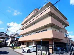 ラックフィールドの画像