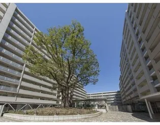 シティコート目黒4号棟【5階】の外観