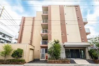 プレール ドゥーク西川口IIの画像