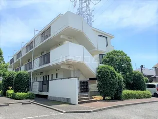 スカイハイムの画像