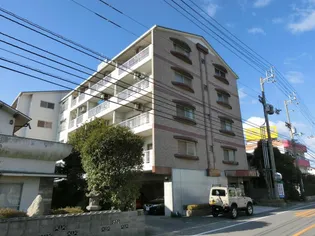 ヴィラポコロコ【4階】の外観