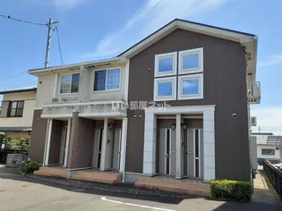 エバーグリーンM K T Aの画像