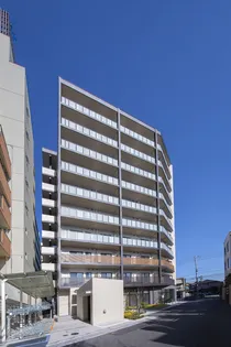 SOPHIA HILLSの画像